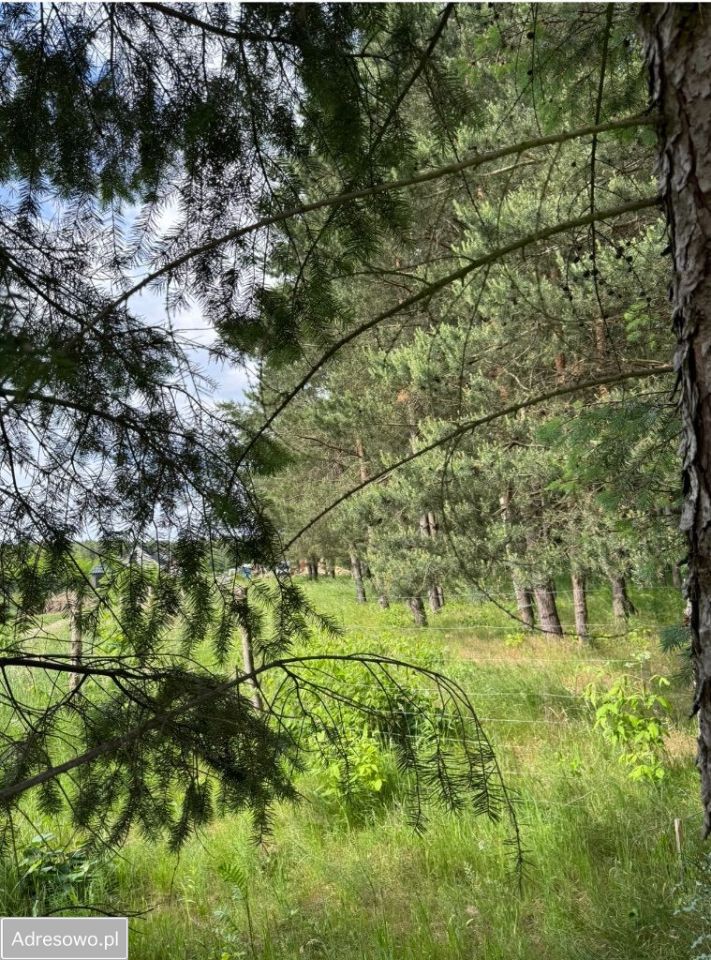 Działka budowlana Stara Wieś, ul. Głogowa. Zdjęcie 12