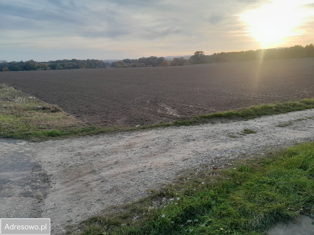 Działka budowlana Czernica. Zdjęcie 2