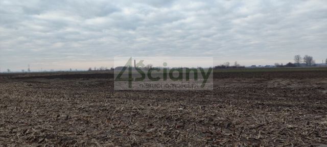 Działka budowlana Zaborówek. Zdjęcie 3