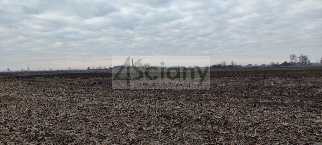 Działka budowlana Zaborówek. Zdjęcie 3