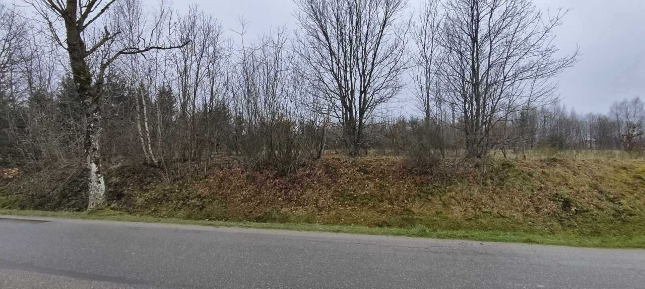 Działka budowlana Gałęzinowo. Zdjęcie 3