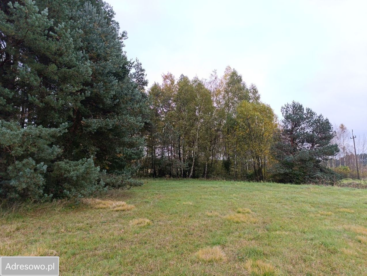Działka budowlana Piaski. Zdjęcie 2