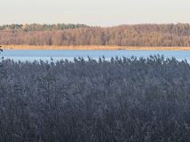 Działka rekreacyjna Radzyń. Zdjęcie 3