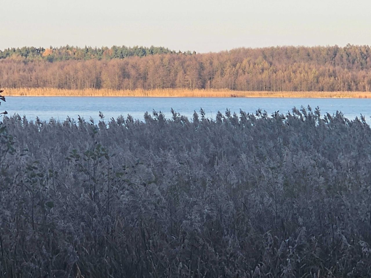 Działka rekreacyjna Radzyń. Zdjęcie 4