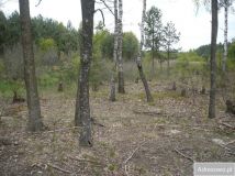 Działka rekreacyjna Wincentów. Zdjęcie 1