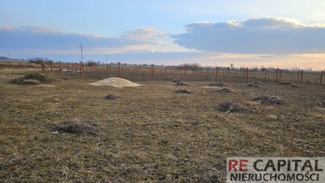 Działka budowlana Zaborówek. Zdjęcie 6