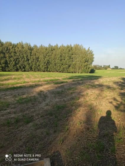 Działka budowlana Nowe Świerczyny. Zdjęcie 3