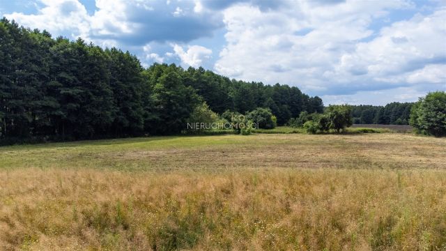Działka budowlana Stary Wołów. Zdjęcie 21