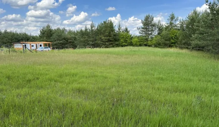 Działka budowlana Trzcińsk, ul. Dębowa