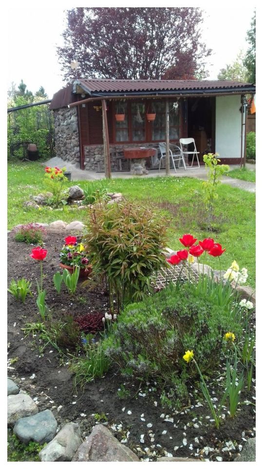 Działka rod Grudziądz. Zdjęcie 7