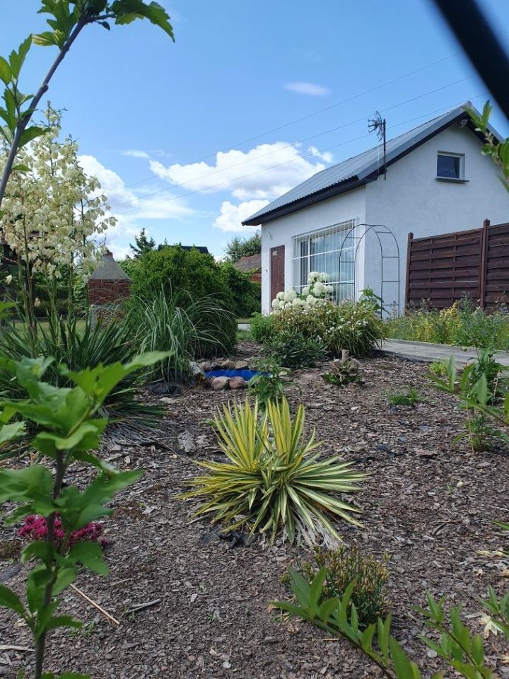 Działka rod Zielona Góra. Zdjęcie 8