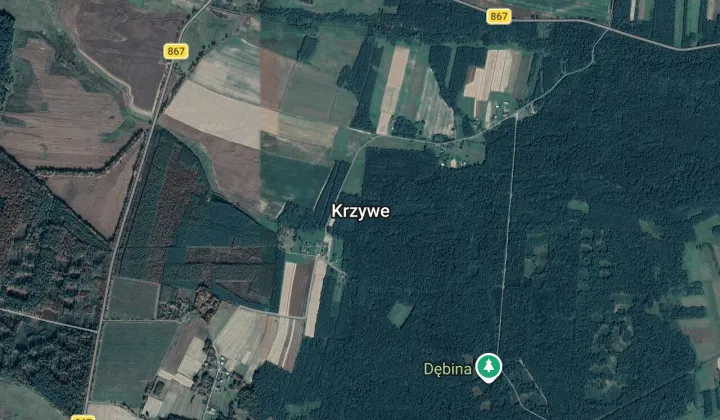 Działka rolna Krzywe