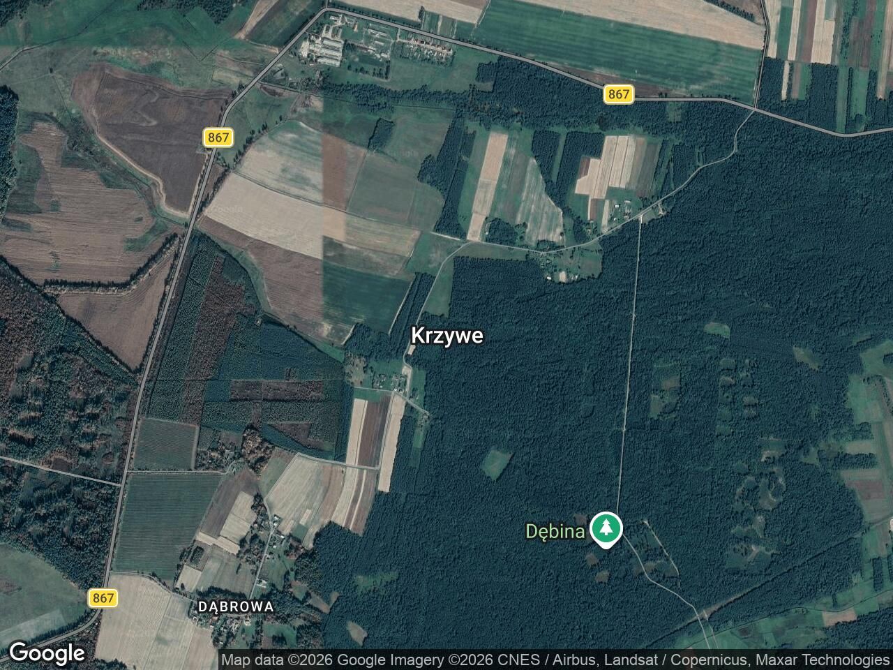 Działka rolna Krzywe. Zdjęcie 1