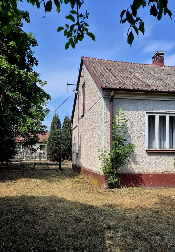 gospodarstwo Szaniec, ul. Szkolna. Zdjęcie 4