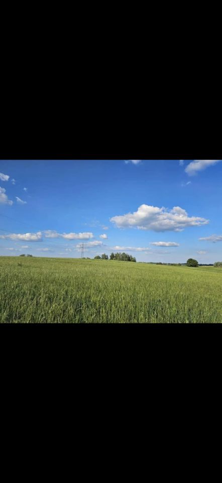 Działka budowlana Młynowo. Zdjęcie 9