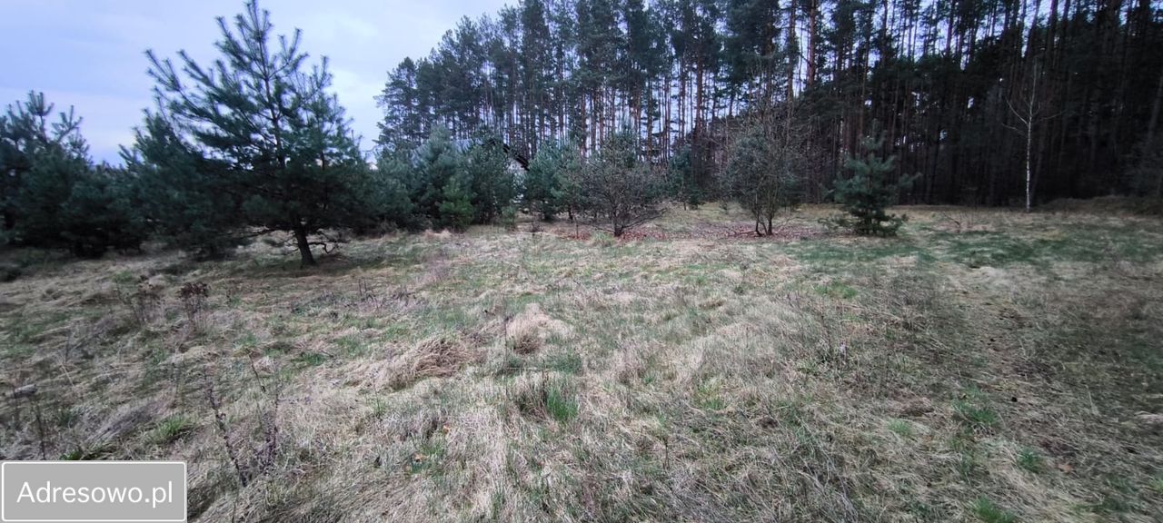 Działka budowlana Zielona Góra Ługowo. Zdjęcie 10