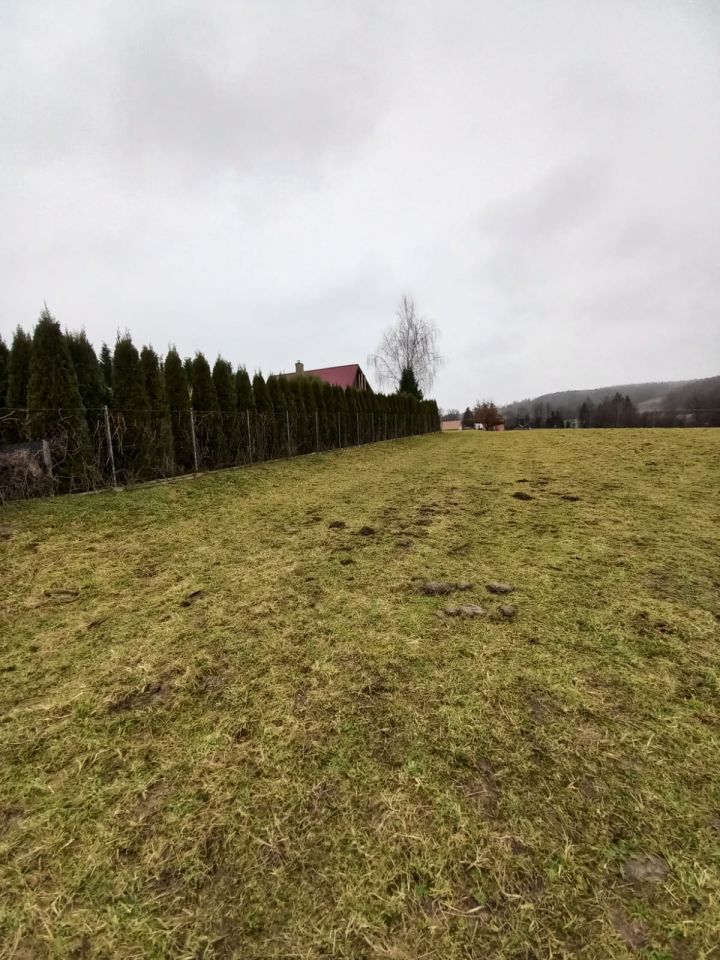 Działka rolno-budowlana Reczpol Przedchołowice. Zdjęcie 4