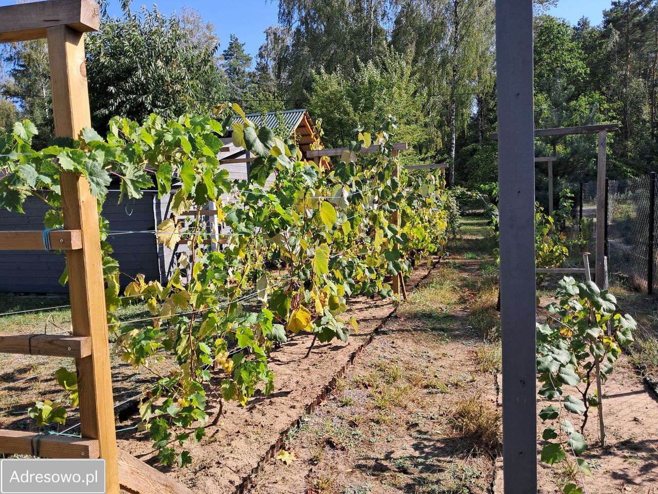 siedlisko, 1 pokój Wólka Szczawińska. Zdjęcie 20