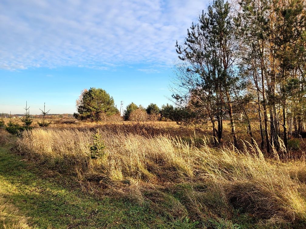 Działka budowlana Zalesie, ul. Krzywa. Zdjęcie 3