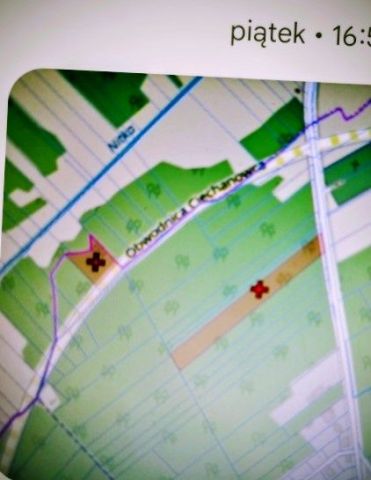 Działka leśna Ciechanowiec. Zdjęcie 1