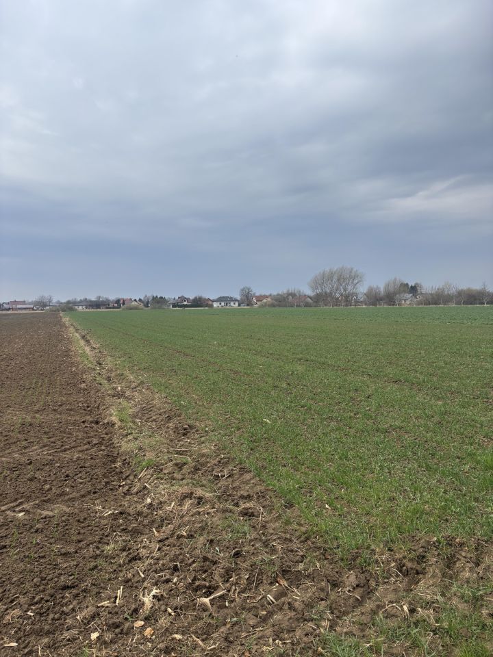 Działka rolna Koniaczów. Zdjęcie 7