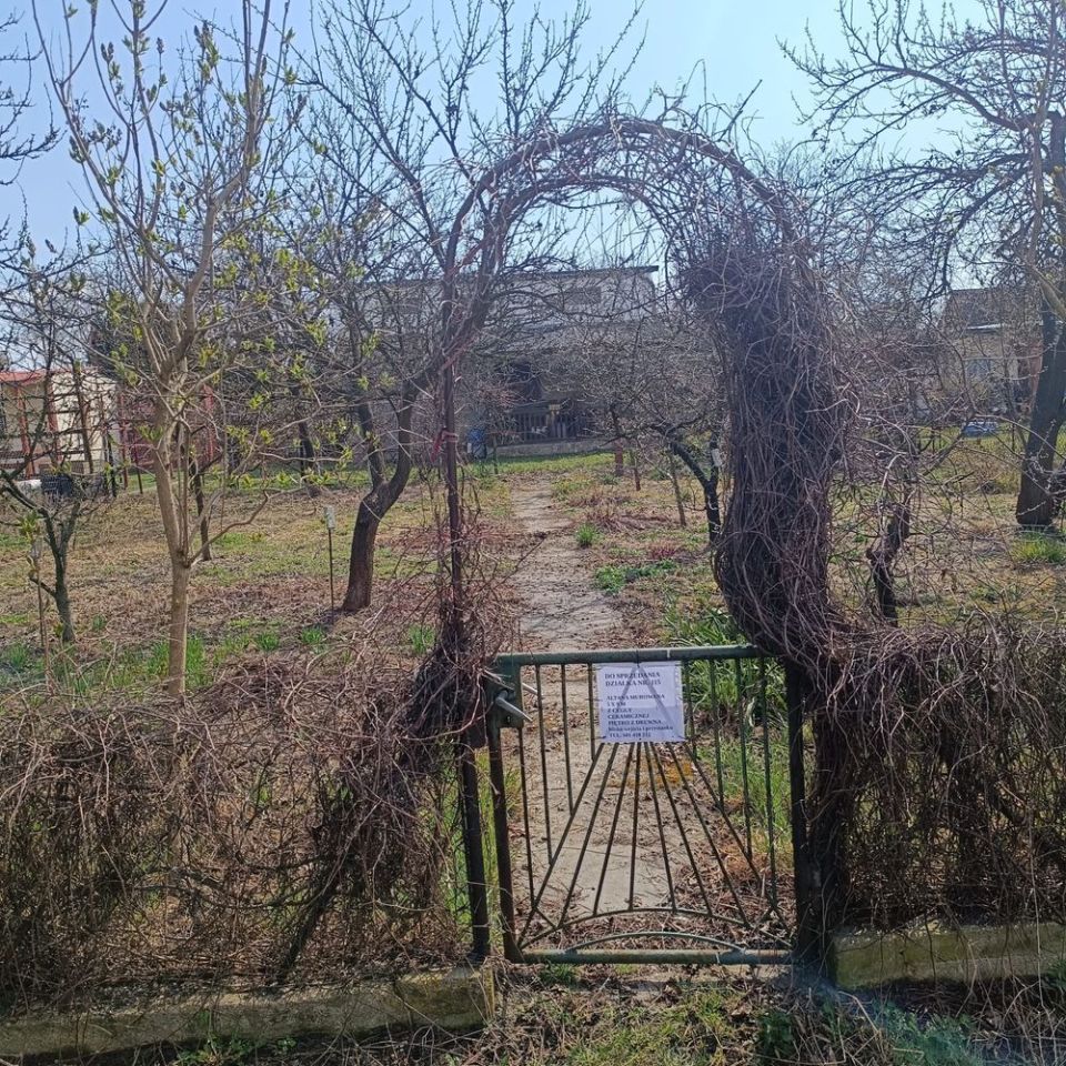 Działka rod Kalisz, ul. Borkowska. Zdjęcie 6