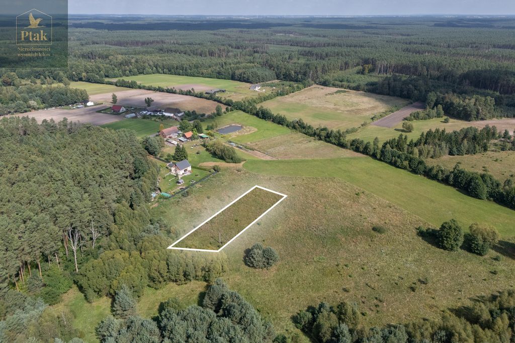 Działka rolna Obrzycko. Zdjęcie 4