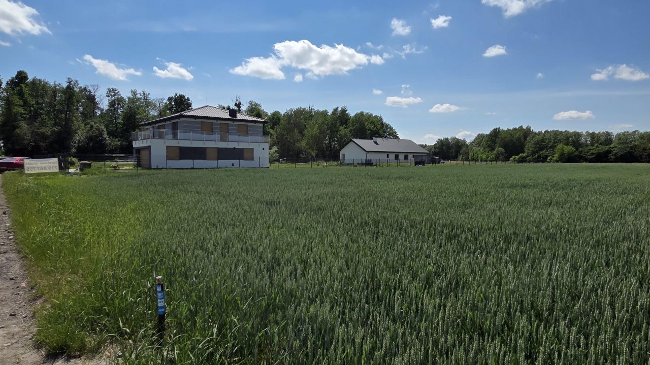 Działka budowlana Cholewy Cholewki. Zdjęcie 3