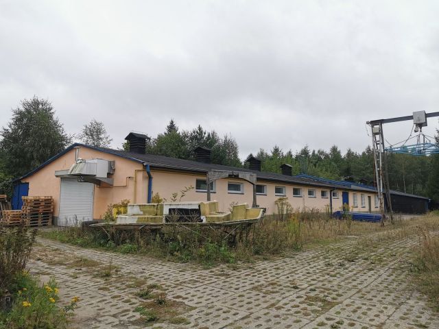 Hala/magazyn Złotów. Zdjęcie 3