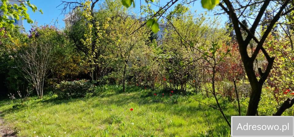 Działka rod Warszawa Mokotów, al. Niepodległości. Zdjęcie 6