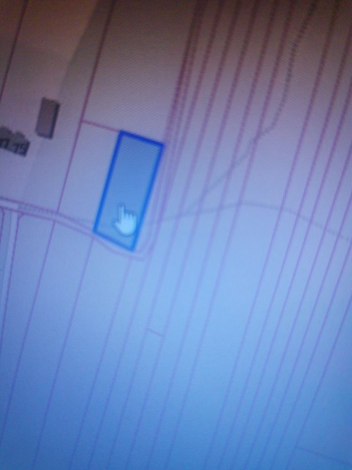 Działka leśna Dąbrowa Górnicza Nowa Kuźniczka, ul. Kuźniczka Nowa. Zdjęcie 5