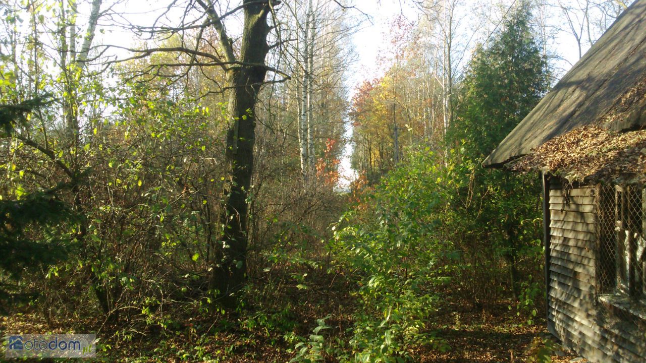 Działka budowlana Wola Załężna. Zdjęcie 13