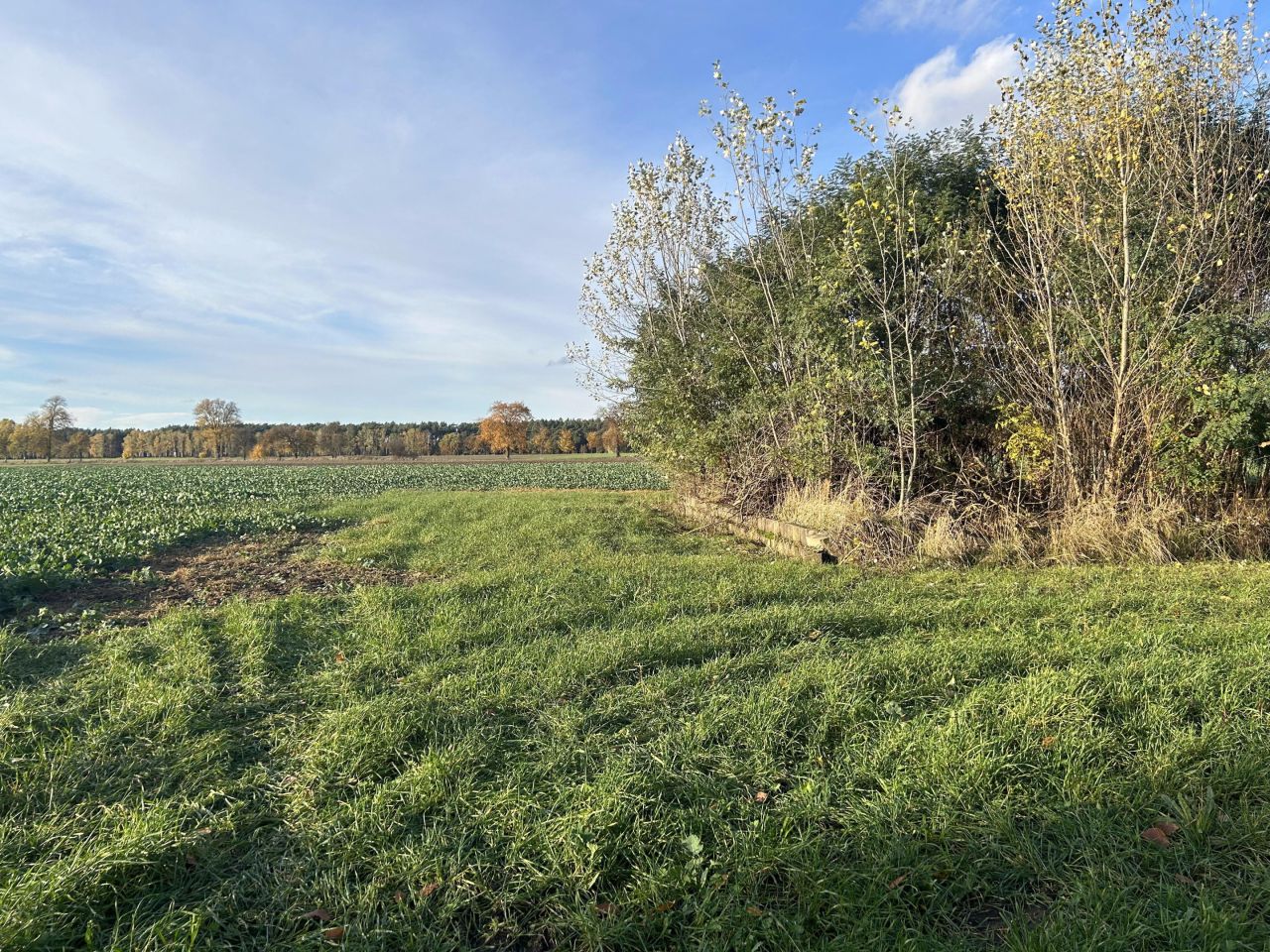 Działka rolno-budowlana Imiołki. Zdjęcie 7