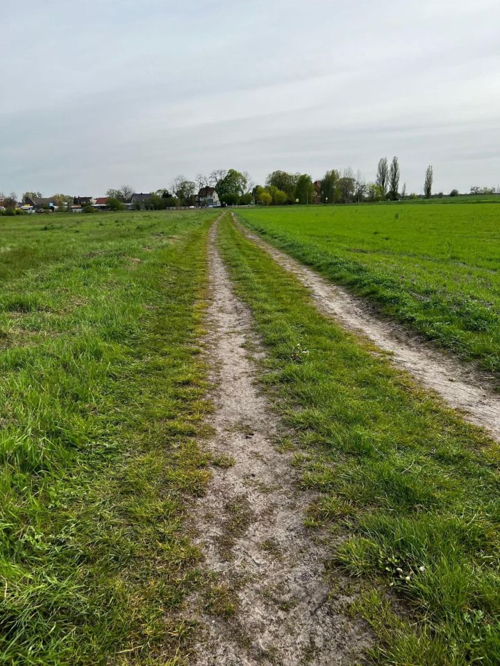 Działka rolna Kolsko. Zdjęcie 4