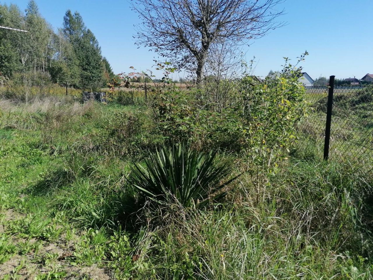 dom wolnostojący Chrząstowice. Zdjęcie 3