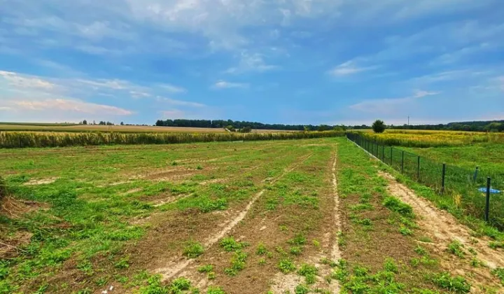 Działka budowlana Mienice