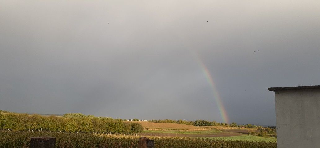 dom wolnostojący, 4 pokoje Roźwienica Parcelacja, Roźwienica ca. Zdjęcie 9