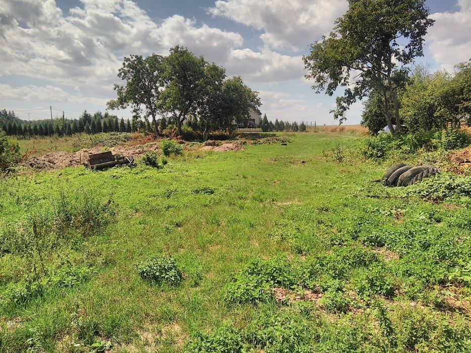 Działka rolno-budowlana Brzęczkowice