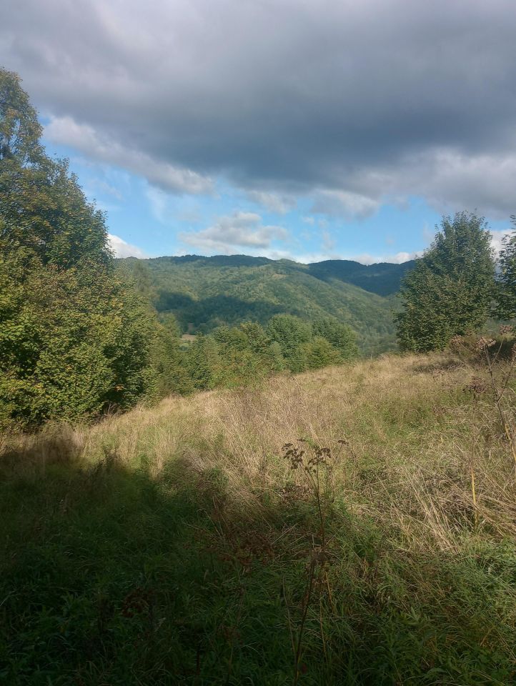 Działka rolno-budowlana Tylmanowa Ziemianki, os. Ziemianki. Zdjęcie 8