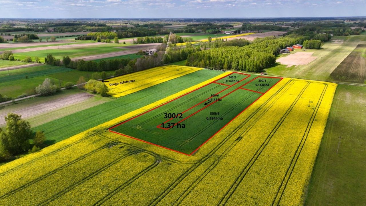 Działka budowlana Milewo. Zdjęcie 2