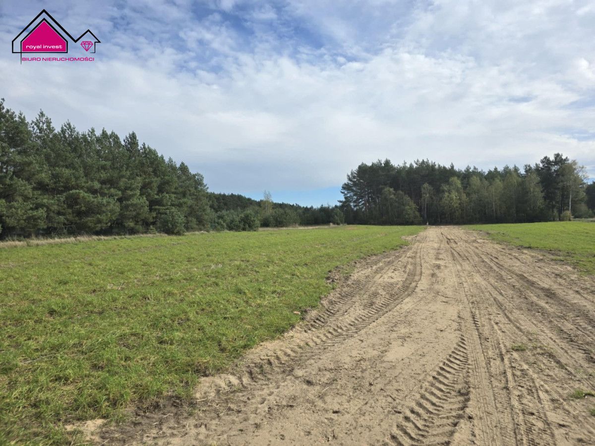 Działka rekreacyjna Adamowo. Zdjęcie 4