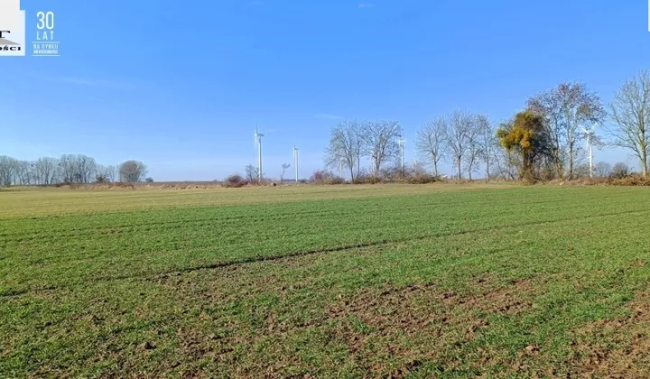 Działka siedliskowa Parsów