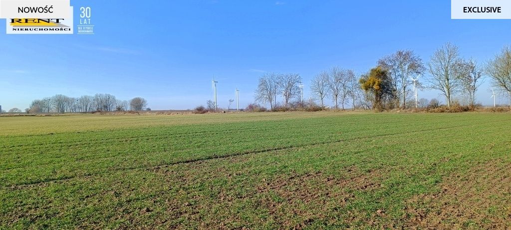 Działka siedliskowa Parsów. Zdjęcie 2