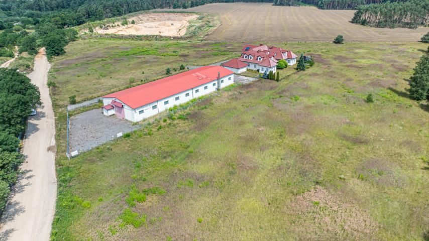 Lokal Brzeźnik. Zdjęcie 7