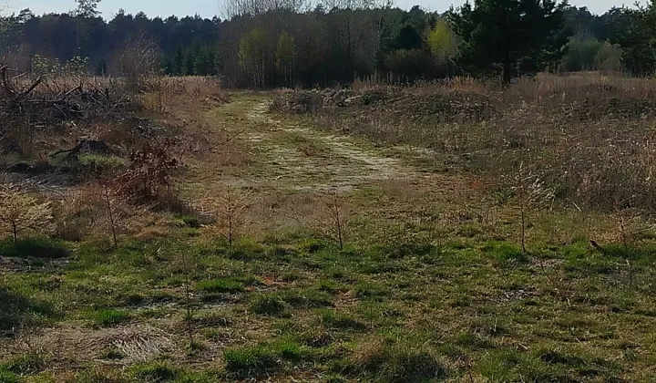 Działka budowlana Podlesie