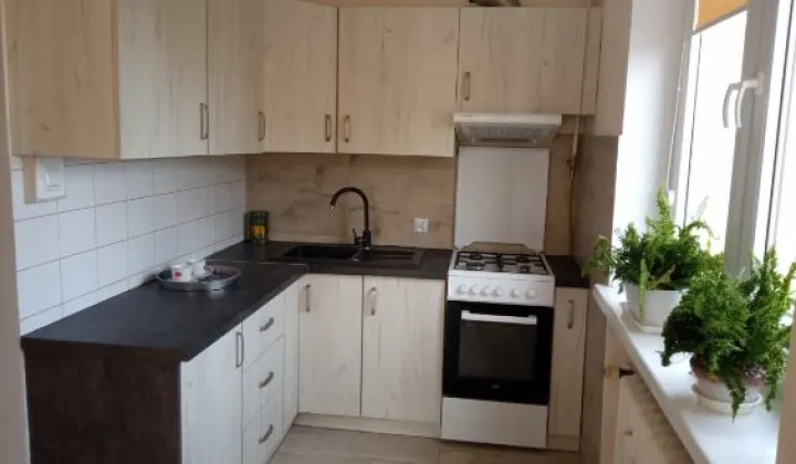 Mieszkanie 1-pokojowe Tarnobrzeg Środek, ul. Józefa Piłsudskiego