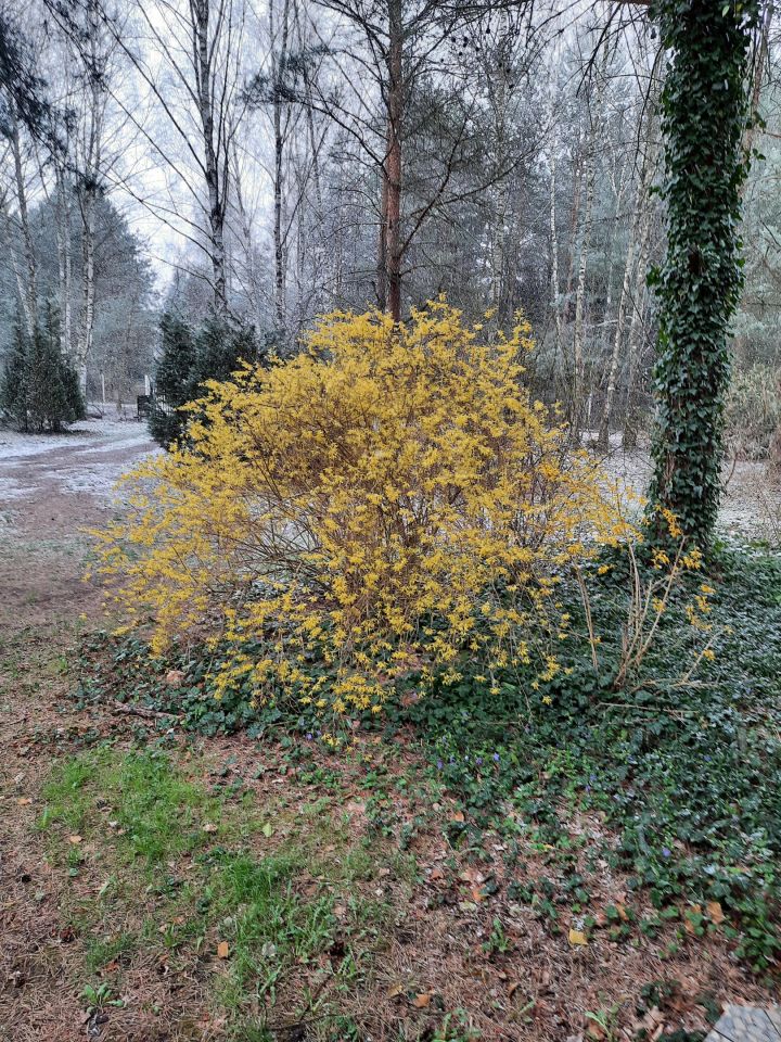 dom wolnostojący, 6 pokoi Kuklówka Zarzeczna. Zdjęcie 7