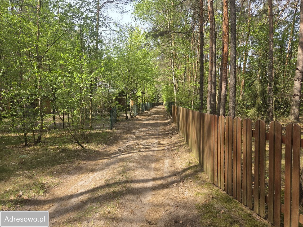 Działka rekreacyjna Biała. Zdjęcie 4