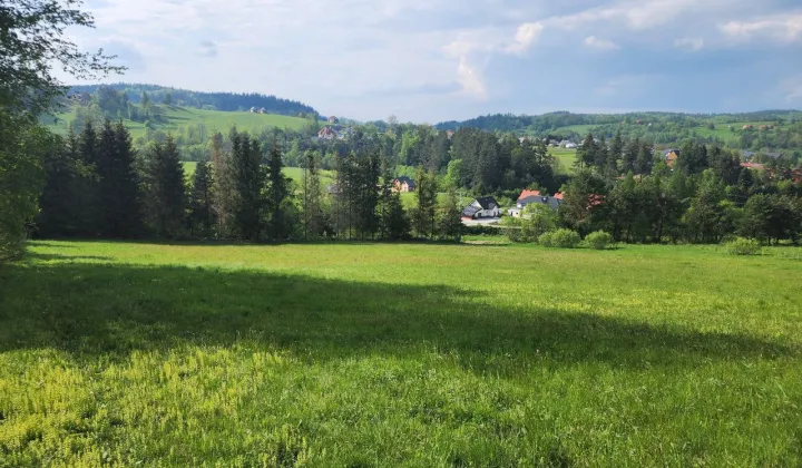 Działka rolno-budowlana Berezka