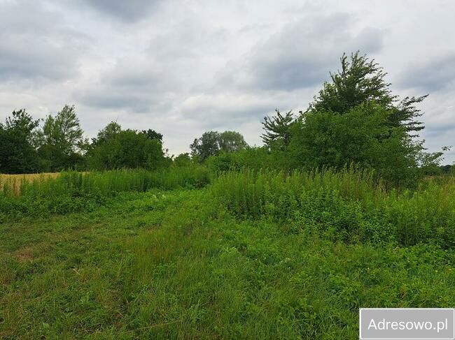 Działka inwestycyjna Otwock Wielki, ul. Zamkowa. Zdjęcie 6